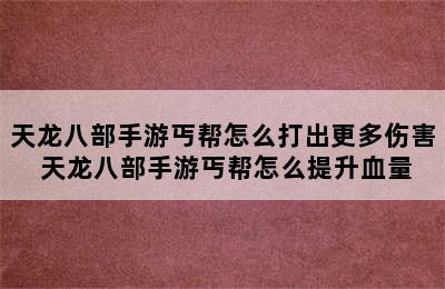 天龙八部手游丐帮怎么打出更多伤害 天龙八部手游丐帮怎么提升血量